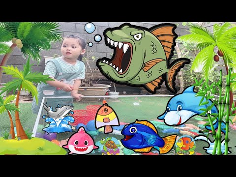 Video Nana - Lan Chi Với Cuộc Thi Câu Cá, Rùa, Cá Sấu Và Rất... - youtube
