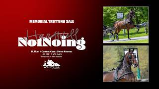 Hardtotellnotnoing - 2026 Memorial Trotting Sale Net Worth