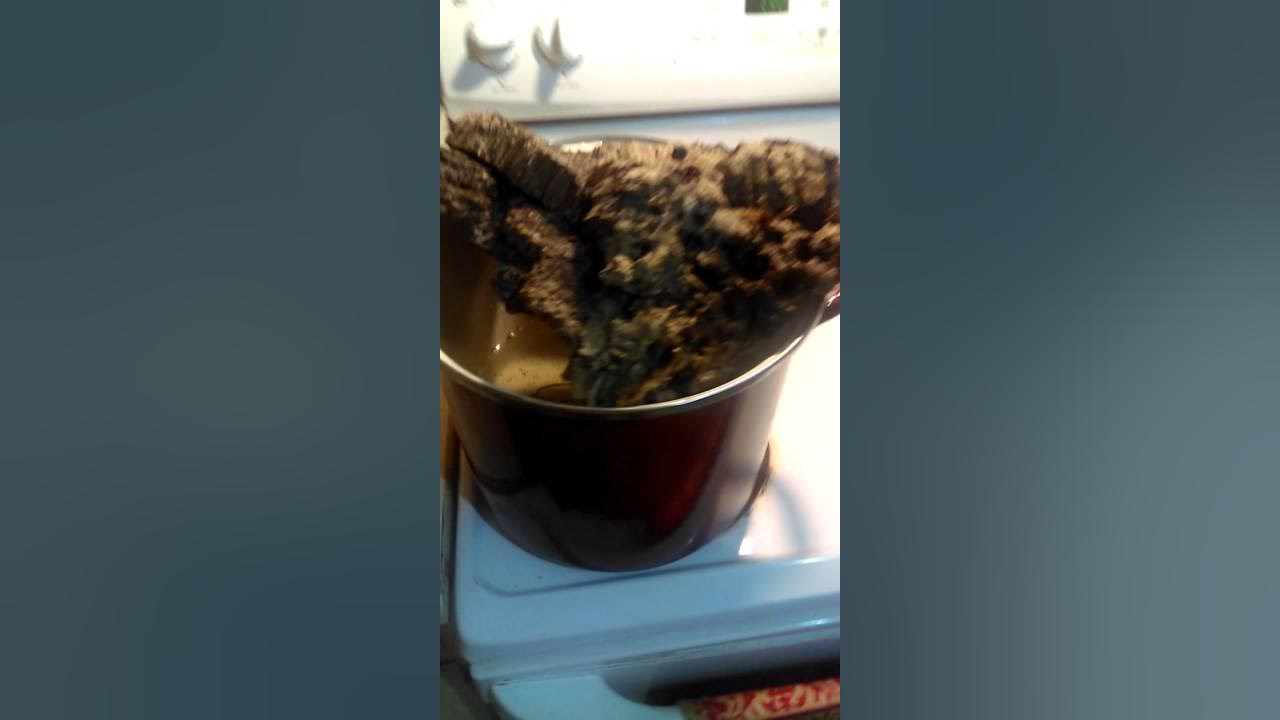 How to flatten curved cork bark pt.1 YouTube