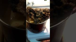 How To Flatten Curved Cork Bark Pt.1