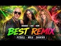 Pitbull X Shakira X Nola SOUL AWAKENING Best Remix 2026 Tropical Reggae Ska EDM Party Mix 
