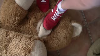 Teddy Under Red Sneaker