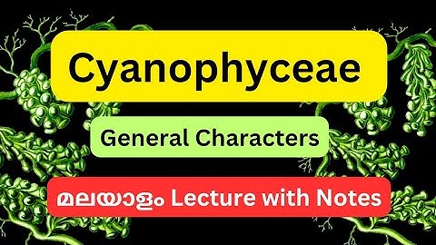 Cyanophyceae #algae #characters #botany #mscbotany #biology #biotechnology #lifescience #phycology