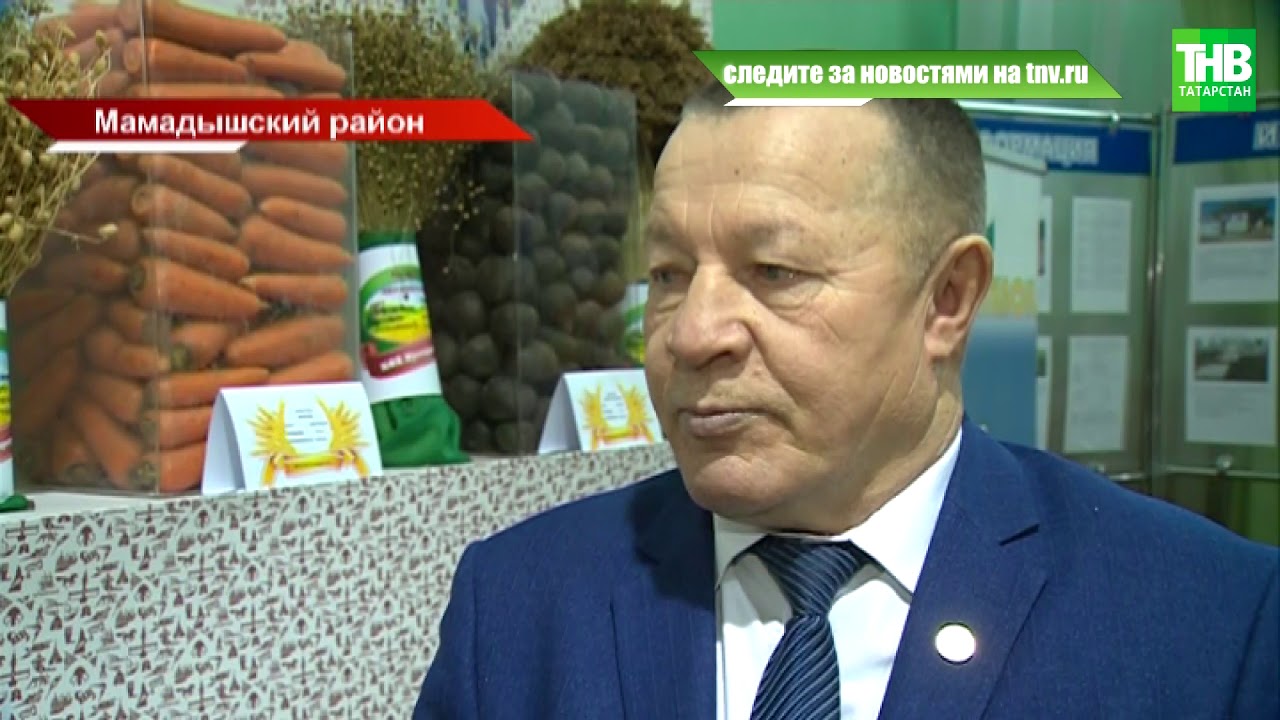 Мамадыш на волге