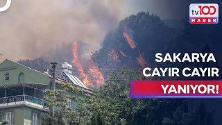 Son Dakika Sakaryadaki Orman Yangını Civar Köylere Sıçradı Tv100 Ana Haber