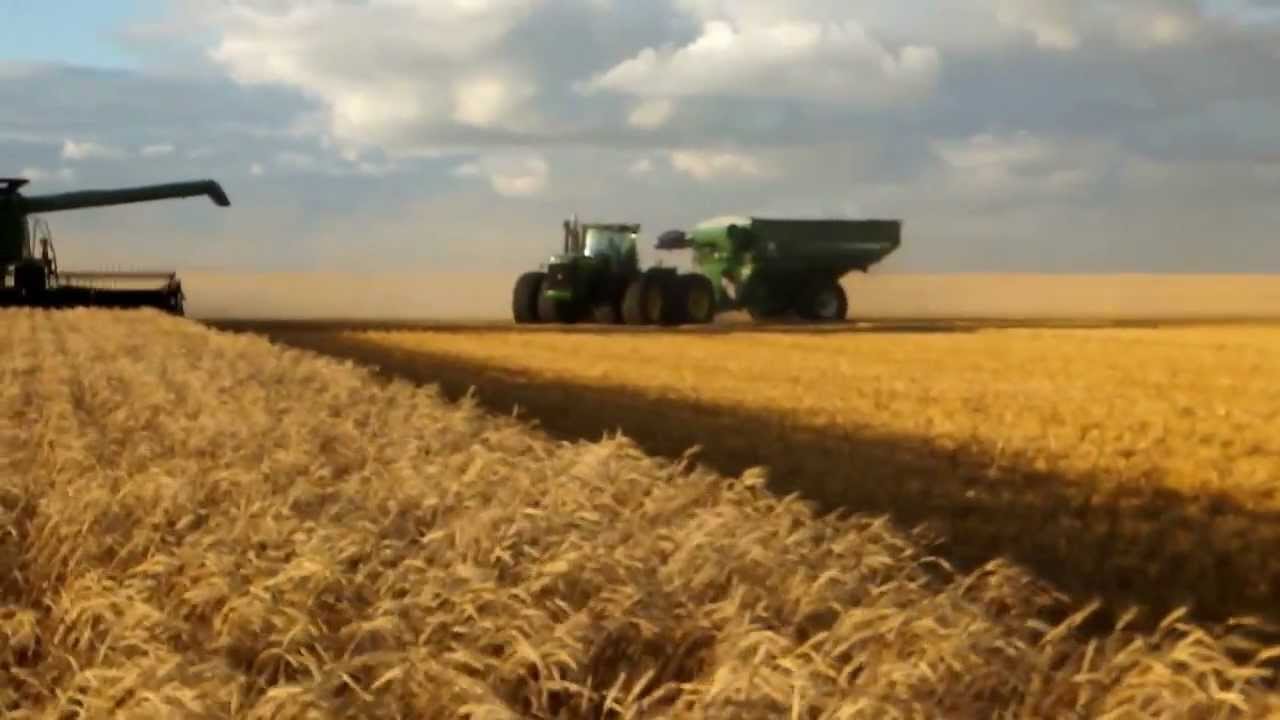 Wheat harvest in western Canada with John Deere 