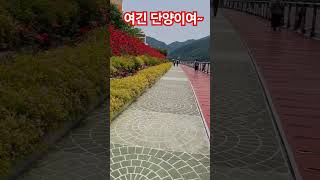 여긴 단양이여#단양장미길#소금정공원#단양 2025.5.31.토.