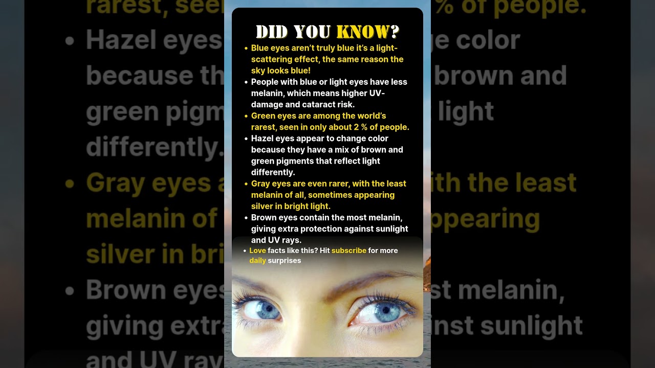 Why Your Eyes Aren’t the Color You Think 👁️💥