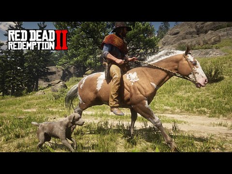 Família de Cavalos Selvagens + De Volta ao Lar! LOBOS!, Red Dead  Redemption 2: Animais Mod