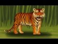 Zoo Stories: Jungle Animals (for preschool and kindergarten kids)