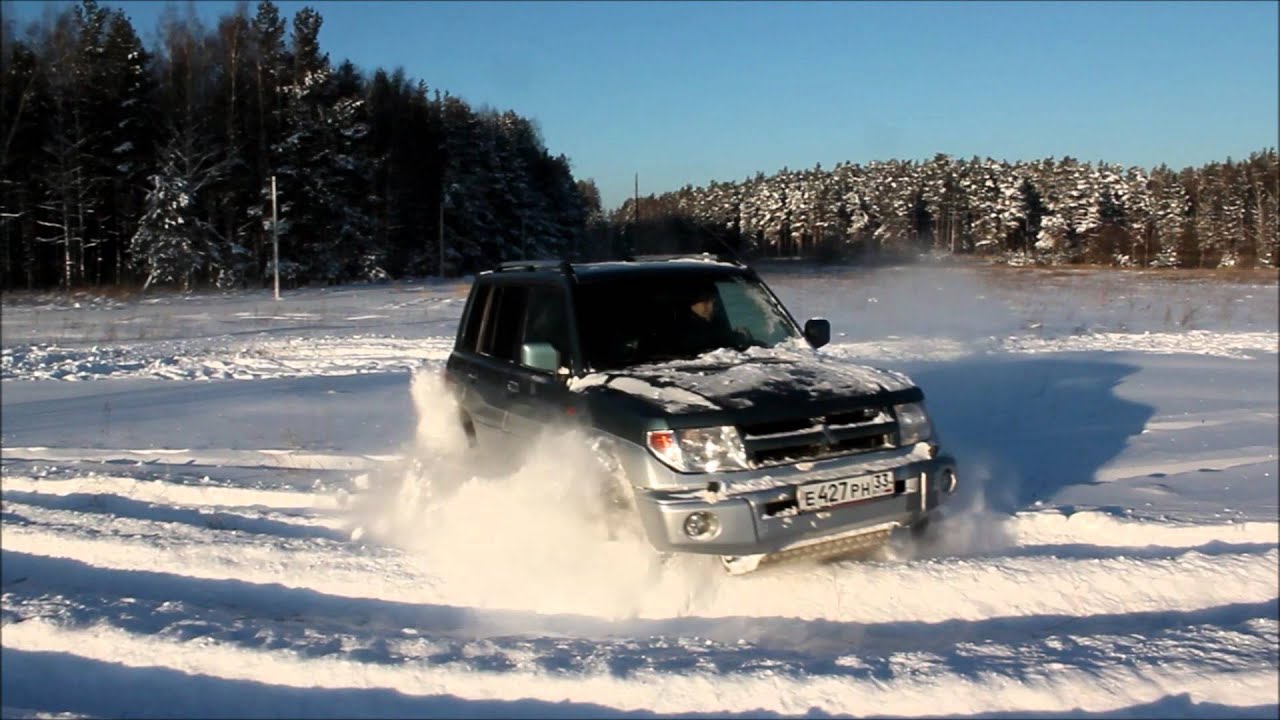 Пинин по снегу 11 01 16. The Pinin in the snow