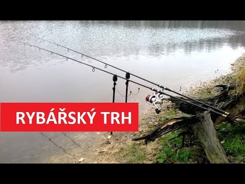 Video: Had Na Rybářský Prut