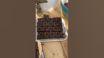 Darn right we soil block!