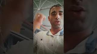 ابن كفر صقر المهداوي الشرقوي العالمي كفر صقر 🤣♥💚🤣🤣🤣🤣