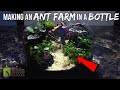 Making the Ultimate ANT FARM TERRARIUM in a Bottle | Terrarium Challenge feat. Serpadesign