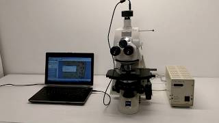 Zeiss Axioskop 2 mot plus Fluorescence Motorized Phase Contrast Microscope [BOSTONIND] - 15857