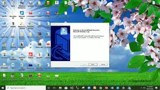 MSWLOGO How to install