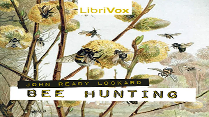 Bee Hunting by John Ready LOCKARD read by Various ...