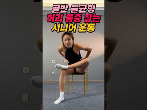 골반 불균형 허리 통증 싹 잡는 시니어 운동