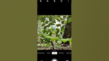 Apexel 18x25 Lens....#zoomtest #cameralens #foryou #minicamera