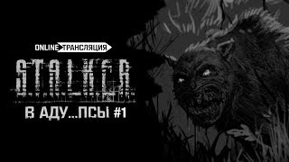 S.T.A.L.K.E.R.: В АДУ...ПСЫ 👿 Stream #1 S.T.A.L.K.E.R.: В АДУ...ПСЫ 👿 Stream #1