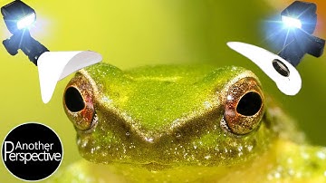 DIY - Create Awesome Flash Diffuser for Macro Photography