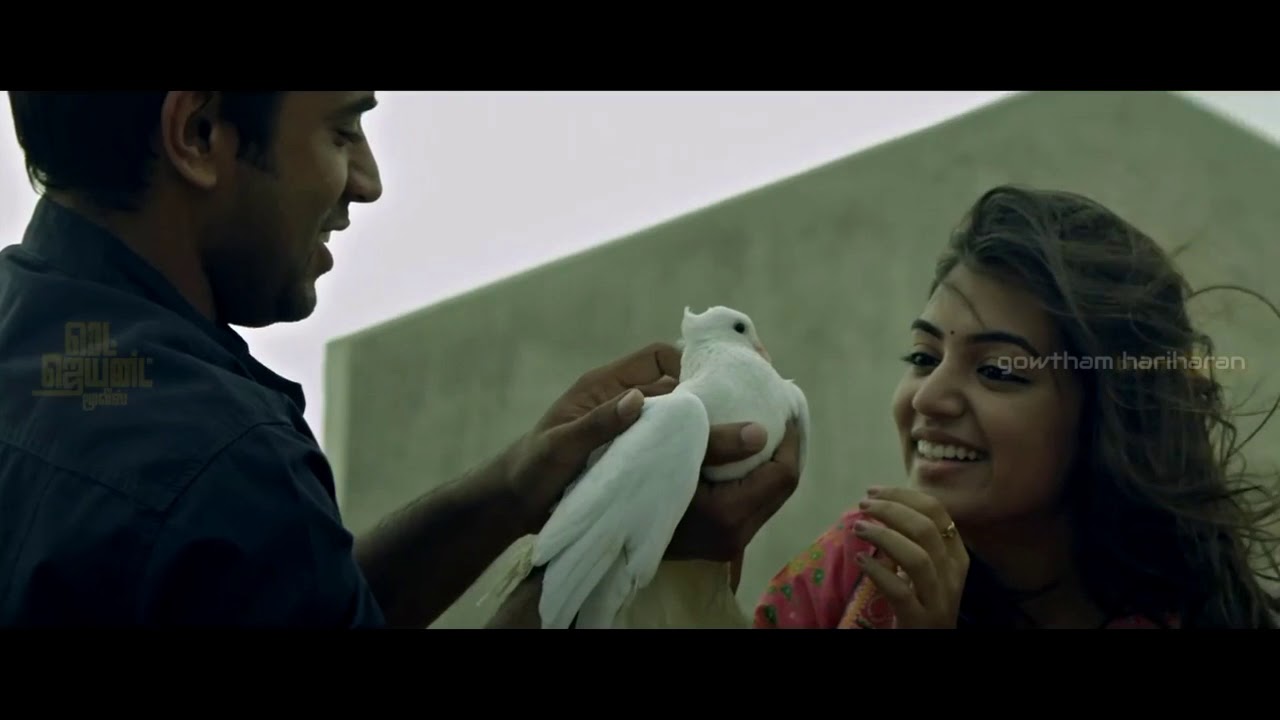 Youtube Film Complet En Français Histoire Vraie Catastrophe Nivin | Nazriya | Anbulla Kanava Cover Version - YouTube