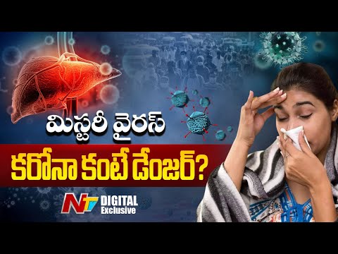 వణికిస్తున్న మరో కొత్త వైరస్ | Mystery Disease Adenovirus Symptoms | Explained | NTV Telugu - NTVTELUGU