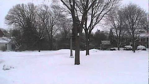 Donna Kohler Winter.mpg