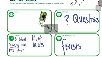 Explain Everything: How to export your projects safely