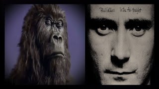 Gorilla / Phil Collins \