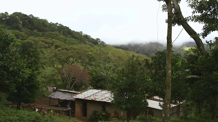 An equitable, sustainable supply chain