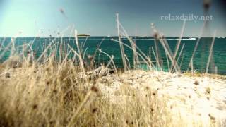 Calm, Soft, Easy Background Music Instrumental - relaxdaily N°052 (flow) screenshot 5