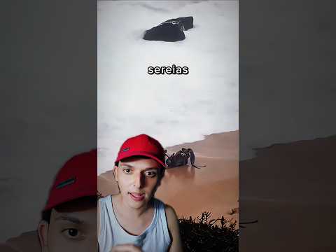 Sereias são flagrada na praia da paraiba #shorts