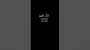 سورة فصلت  - آية 30  -   سعد الغامدي  -  كرومات سوداء القرآن