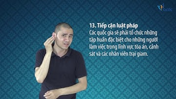 Công ước quốc tế về Quyền của người khuyết tật - Điều 13.3, Tiếp cận luật pháp