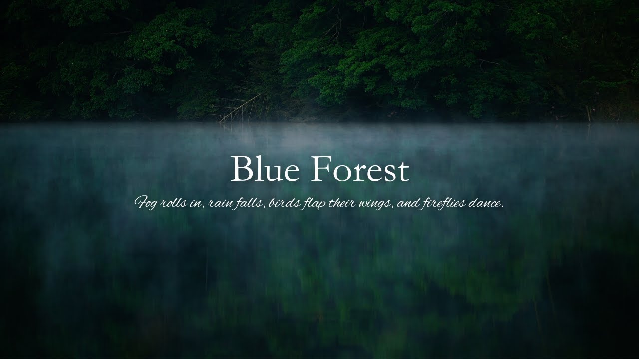 【44min】Blue Forest / Fog rolls in, rain falls, and fireflies dance. / Aoimori / haruka nakamura