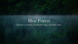 【44min】Blue Forest / Fog rolls in, rain falls, and fireflies dance. / Aoimori / haruka nakamura