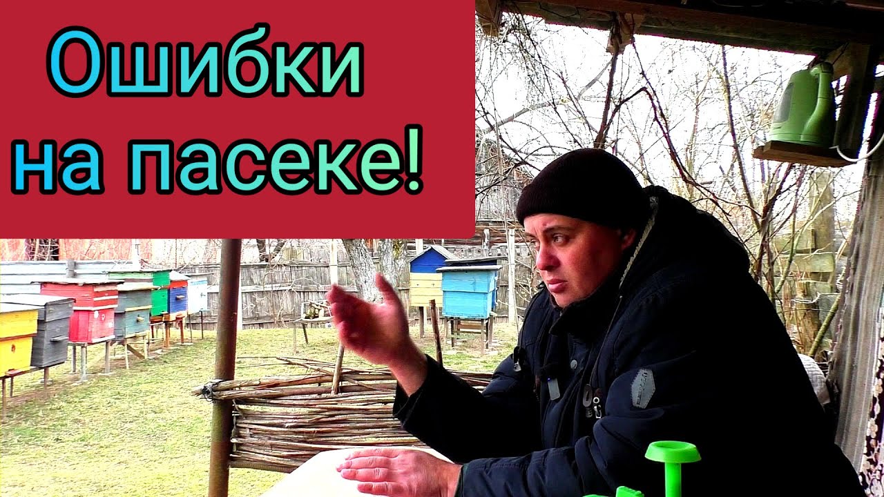 Ошибки на пасеке от которых не стоит ждать положительного результата! Пчеловодство понятным языком.