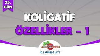 📌35.GÜN l Koligatif Özellikler - 1🤓 Kimya Adası #aytkimya