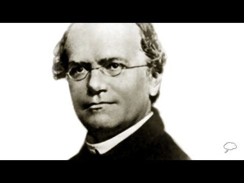 Video: Gregor Mendel: Biografia, Tvorivosť, Kariéra, Osobný život