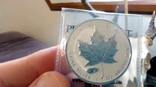 SILVER PICKUPS FROM JANUARY 2016