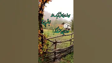 می شد ای کاش محمودی خوانساری محمودی عماد خراسانی هجران وصل لحظه آخری امید بالینی سحر 