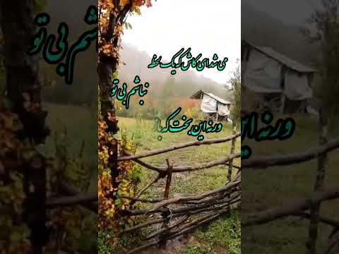 می شد ای کاش محمودی خوانساری محمودی عماد خراسانی هجران وصل لحظه آخری امید بالینی سحر