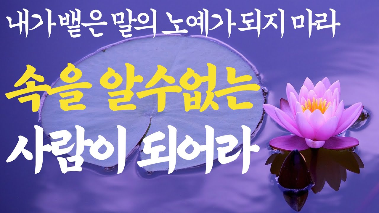 Outline Video 아무리 친해도 절대 드러내면 안 되는 것 | 친할수록 숨겨야하는 것 | 석가모니 부처님 명언 |불교 철학| 처세 삶의지혜 플라톤 현실조언 인간관계 조언 ASMR 수면 잠잘때