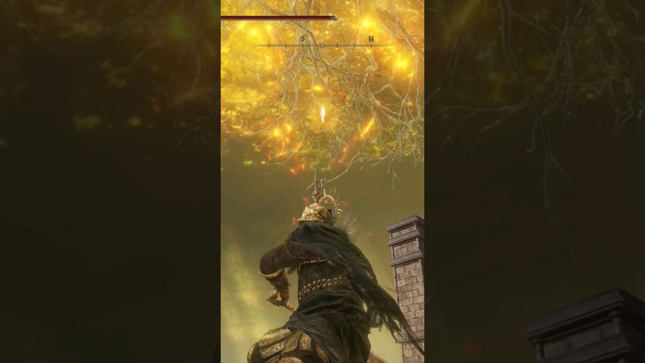 Two Heavy Attacks No Damage | Short Duel 193 | Elden Ring