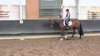 Download Lagu RobesRobijn MP3