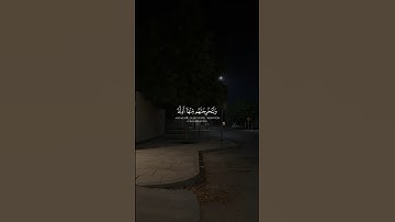 ياسر الدوسري - سورة النمل 🤍 . #قرآن #قران_كريم #ارح_قلبك #ياسر_الدوسري #سورة_النمل