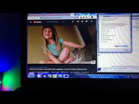 Funny Kids vs Cats has BSOD