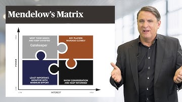 08. Mendelow’s matrix